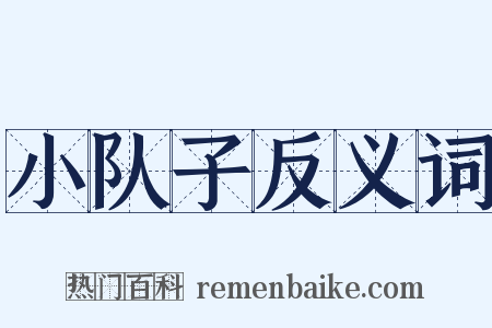 小队子反义词是什么意思的图片